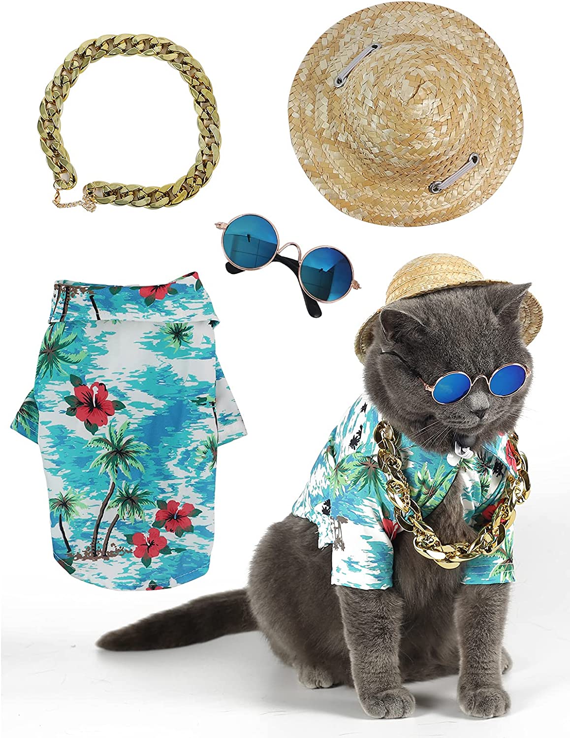 Impoosy Hawaiian Shirt, Cat Sunglasses, Funny Straw Hat, and Gold Chain Collar