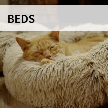 cat beds category graphic