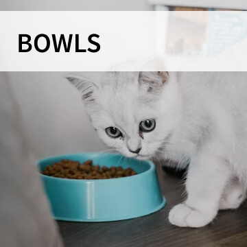 cat bowls category graphic