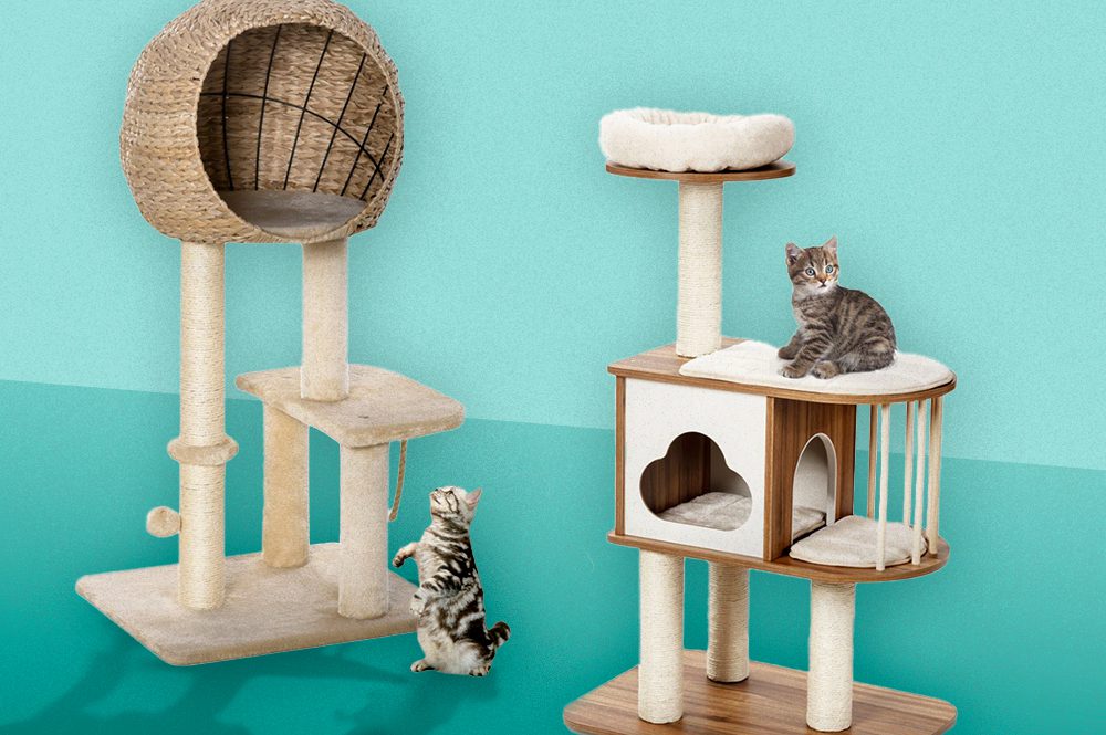 Make Your Cat Feel at Home With the Best Cat Tree