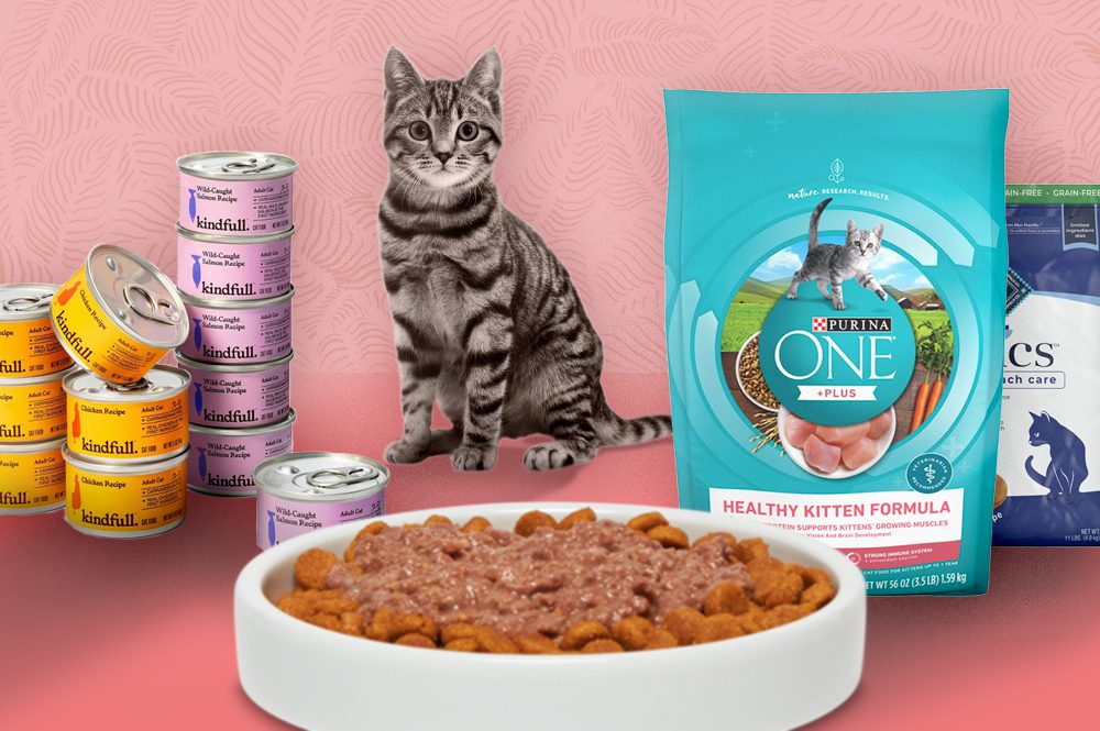 The Best Cat Food for a Happy Pet