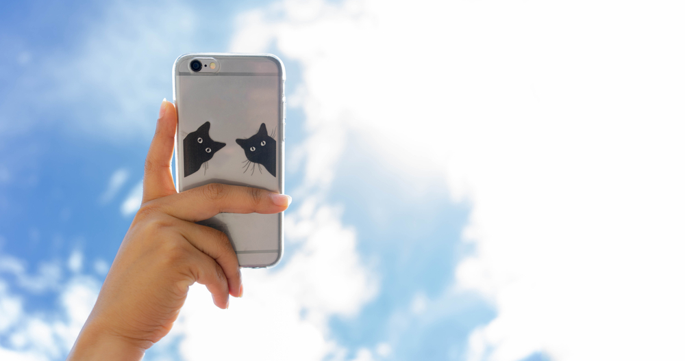 The Best Kitty Themed Phone Cases