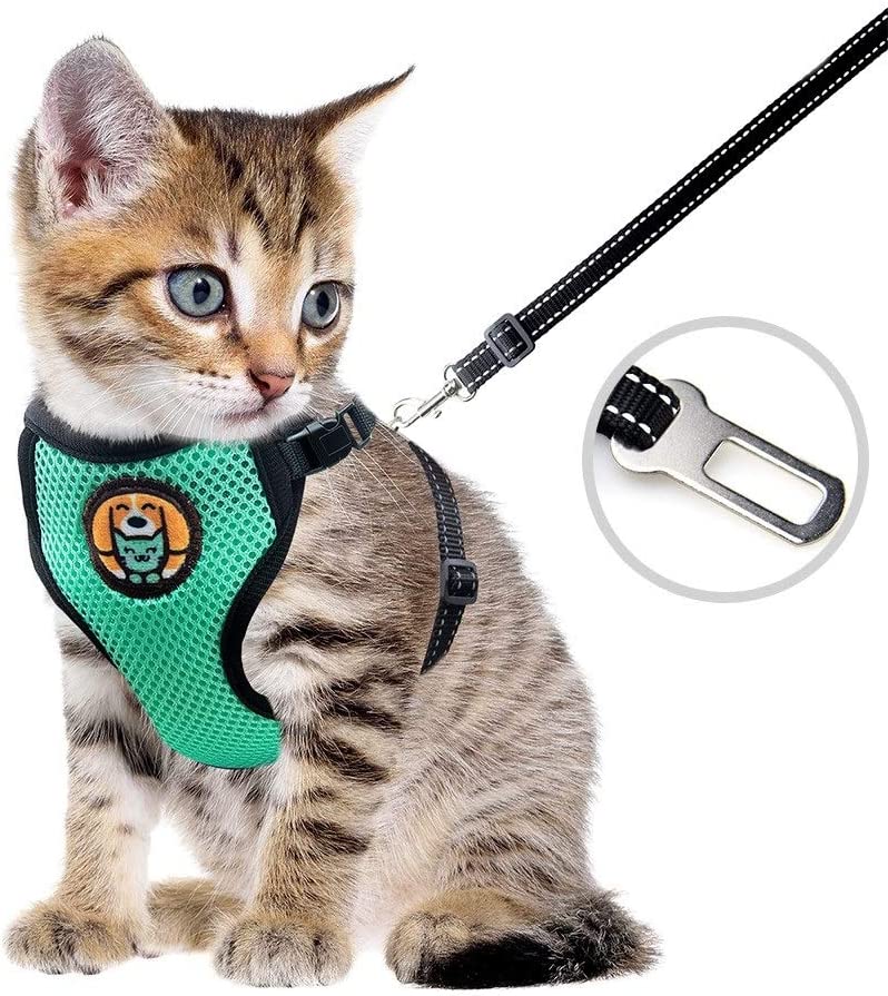 Awoof Reflective Kitten Harness and Leash Escape Proof with Car Seat Belt