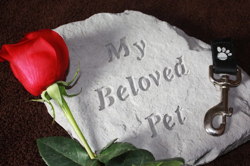 The 5 Best Cat Memorial Gifts To Honor And Remember Your Feline Friend