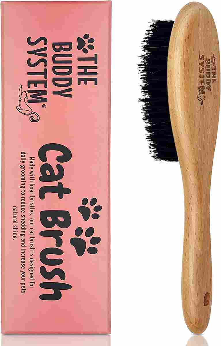 The Buddy System Cat Brush with Boar Bristle and Wooden Handle, Professional Grade Daily Grooming Hairbrush, Reduce Shedding, Soft Hair and Healthy Shine (1 Pack)