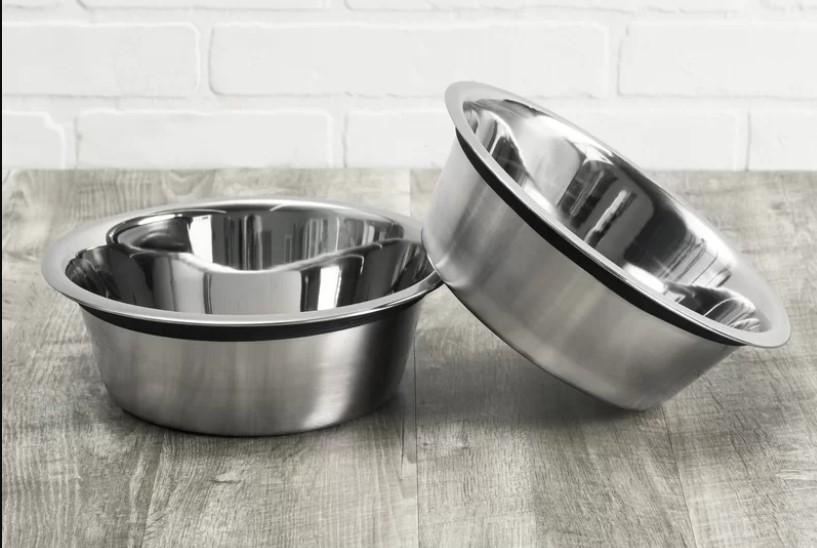 Stainless Steel Pet Bowl (Set of 2)