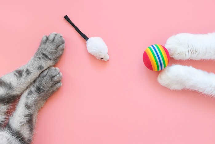 The Best Toy Mice For Cats To Tap Into Their Inner Predator