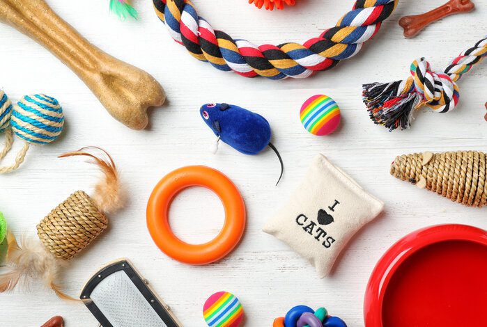 The Best Cat Toys To Keep Your Kitty's Mind Sharp And Their Body Active