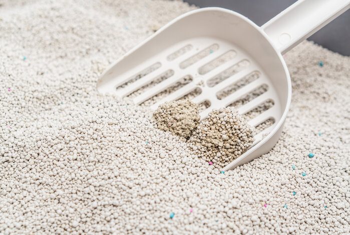 The 5 Best Natural Cat Litters For A Healthier Home And Happier Feline