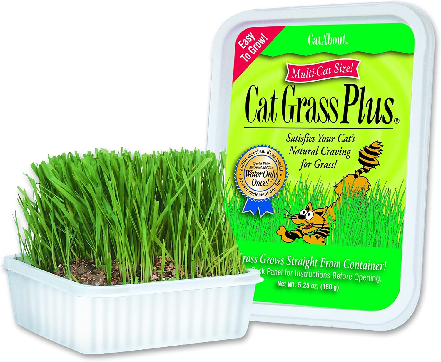 Miracle Care Cat-A'bout Multi-Cat CatGrass Plus Tub 150 grams by MiracleCorp/Gimborn