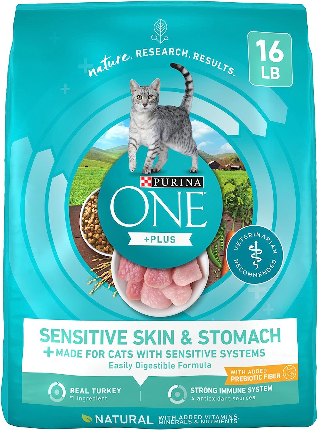 Purina ONE Sensitive Stomach, Sensitive Skin, Natural Dry Cat Food