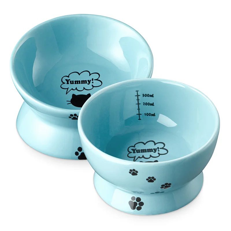 Cat Food Bowl (Set of 2)