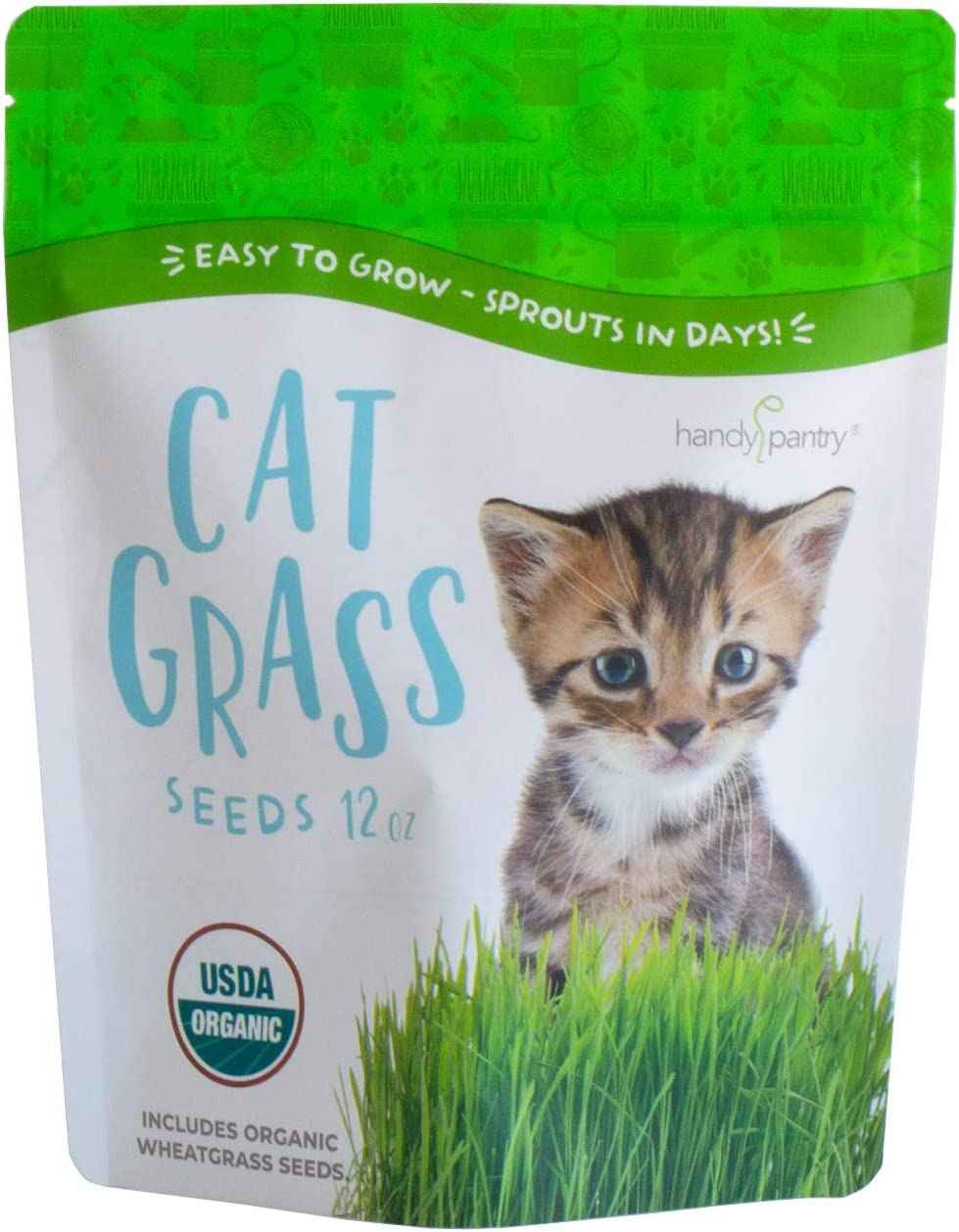Certified Organic Cat Grass Seeds by Handy Pantry - Non-GMO Wheatgrass Seeds for Cats, Dogs, Rabbits, Pets - Wheat Grass Hairball Remedy for Cats - Hard Red Wheat for Your Home Cat Grass Kit (12 oz.)