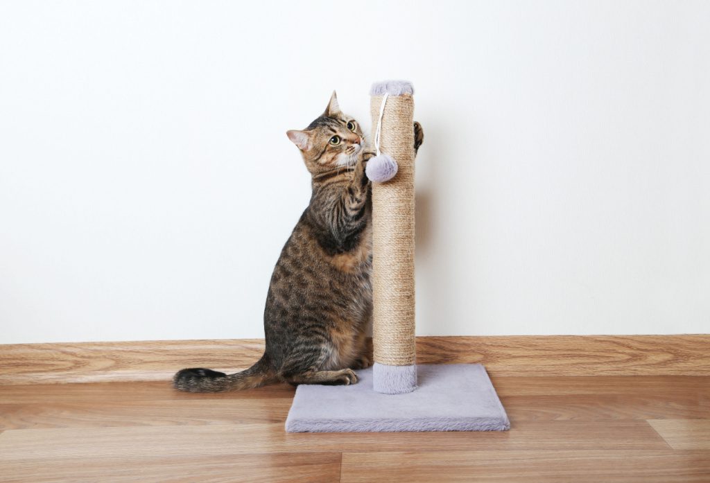 The 5 Best Wood Cat Scratching Posts To Keep Your Furry Friends Entertained