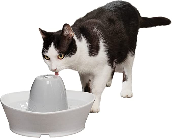 PetSafe Creekside Ceramic Pet Fountain for Cats and Small Dogs