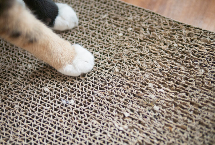 The Best Cat Scratching Board To Keep Those Claws Tip-Top