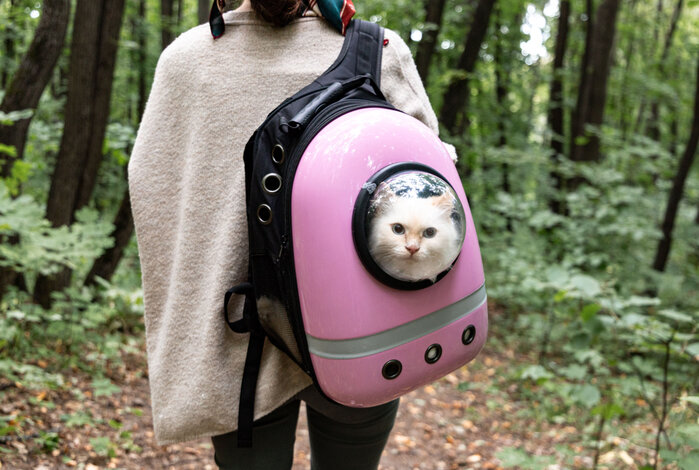 The Best Cat Backpacks For Toting Your Furry Friend In Style