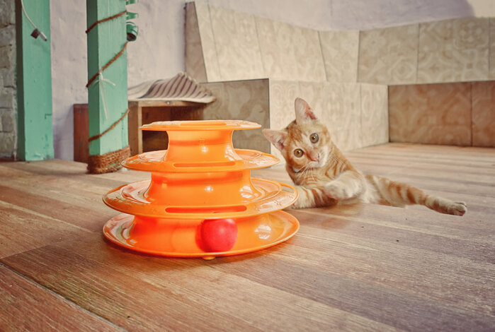 The Best Interactive Cat Toys To Help You Bond With your Feline