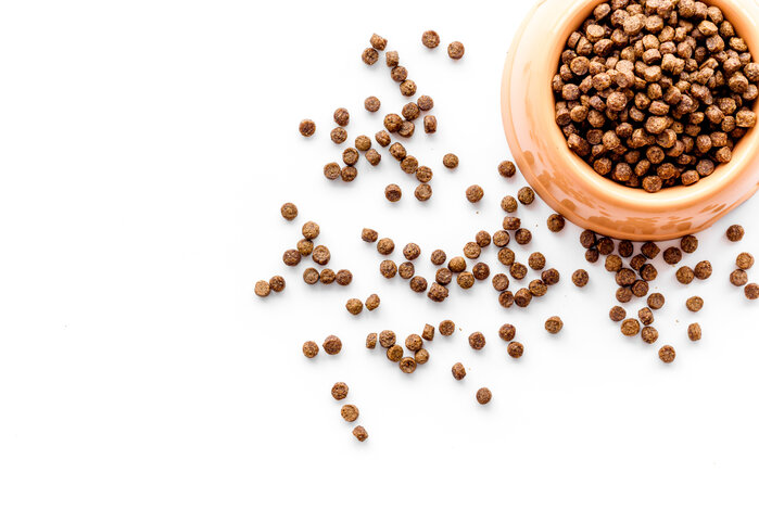 The Best Dry Cat Food To Upgrade Your Kitty's Menu