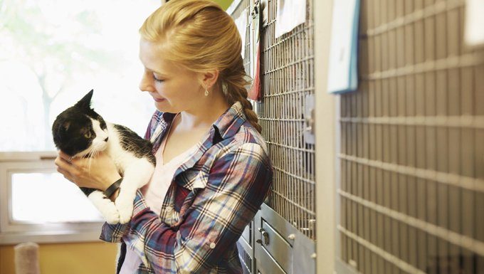 woman holding shelter cat