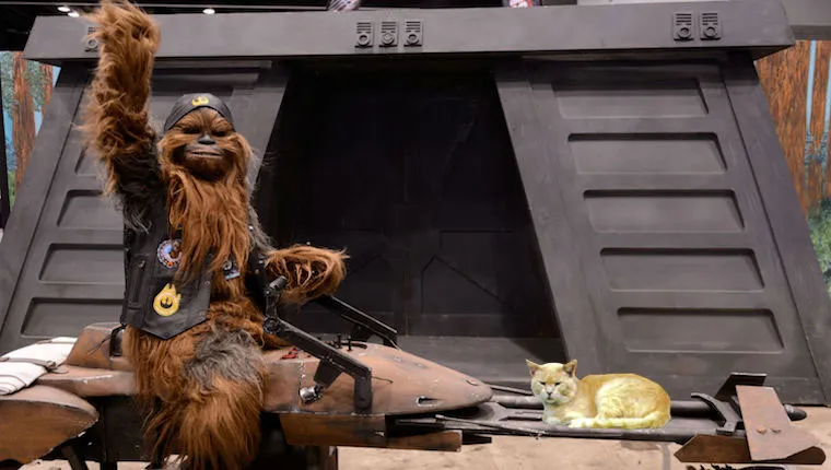 chewbacca riding speeder with cat 