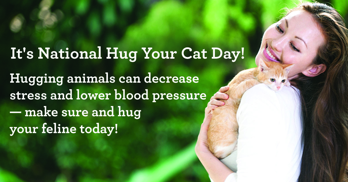 June 4 is National Hug Your Cat Day CatTime