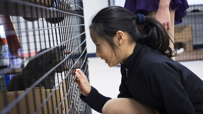 Woman looks at shelter cat