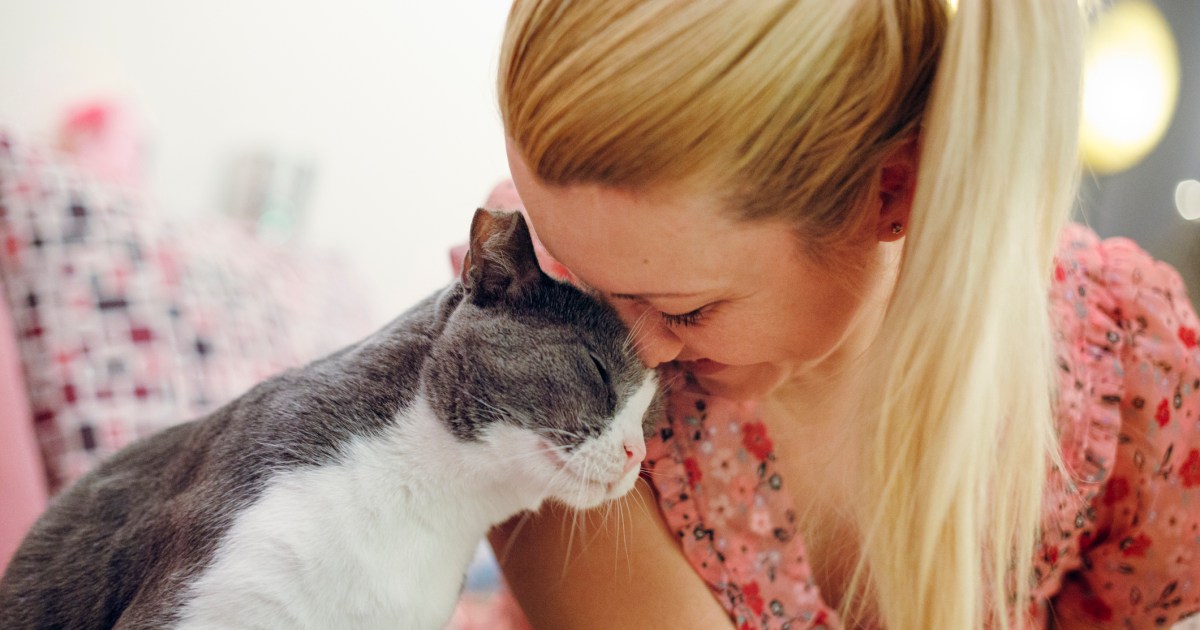 Best 8 Well being Advantages of Having a Cat