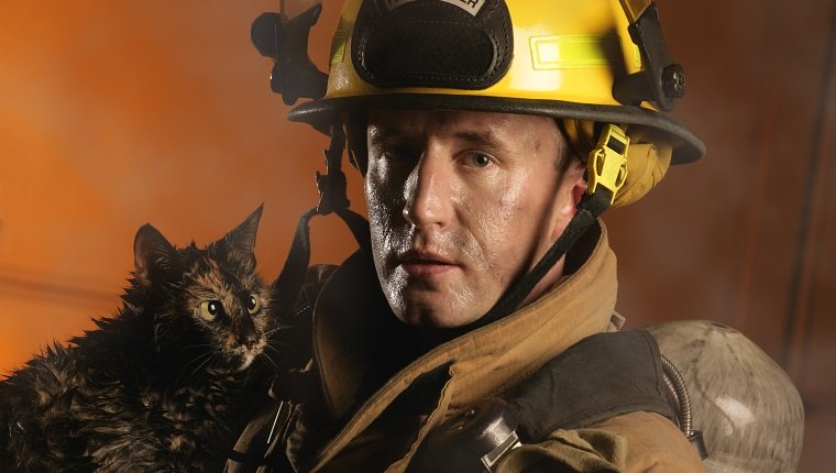 Firefighter and a cat