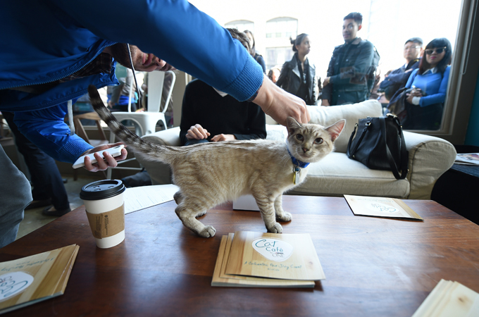 (Photo credit should read EMMANUEL DUNAND/AFP/Getty Images)