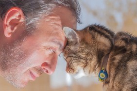 man and old cat: real love - have faith in / trusting
