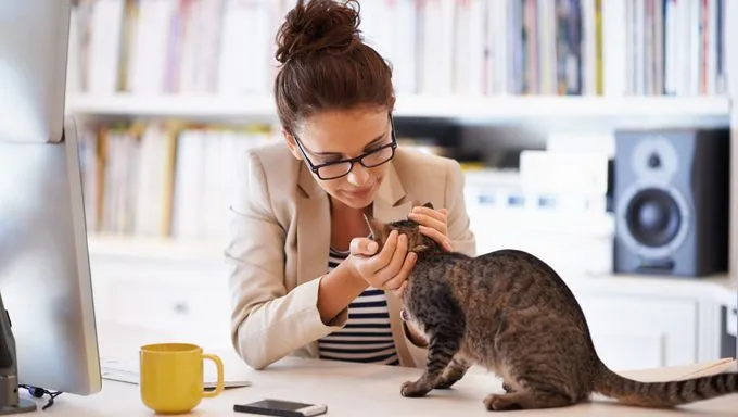 woman petting cat at desk