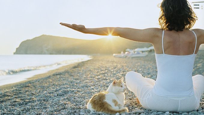woman doing yoga on beach with cat