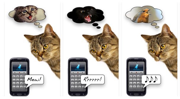 10 Must-Have Apps for Cats