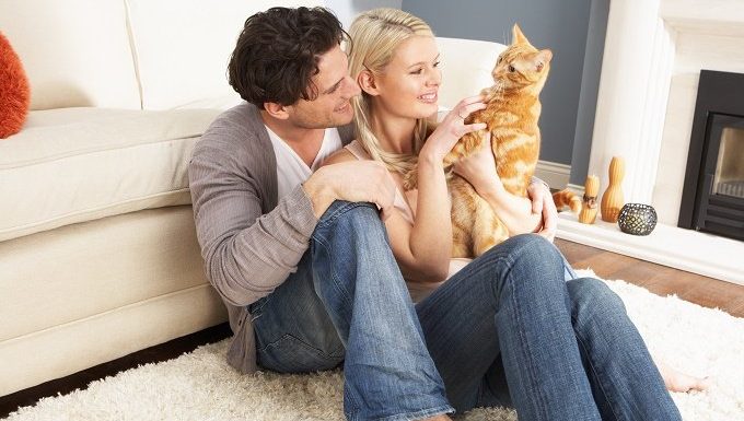 A young couple hold an orange cat while sitting on a rug.