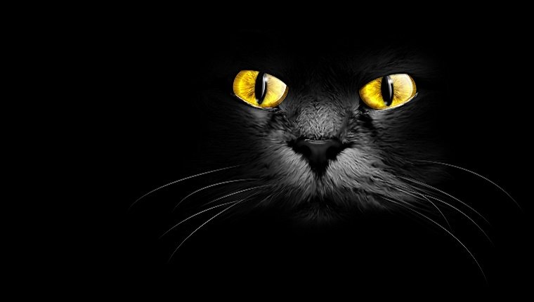 A black cat's face with glowing eyes stares out from a black backround.