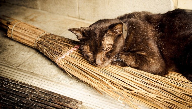 A black cat naps on an old-fashioned broom.