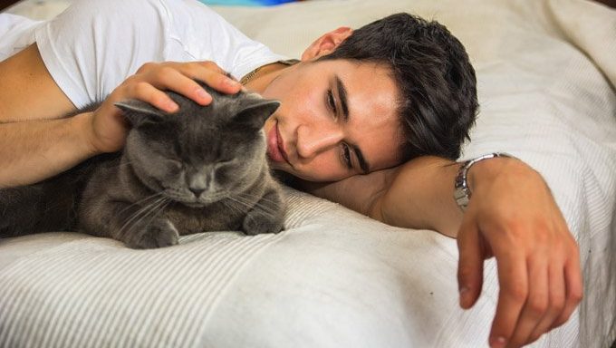 man petting cat on bed
