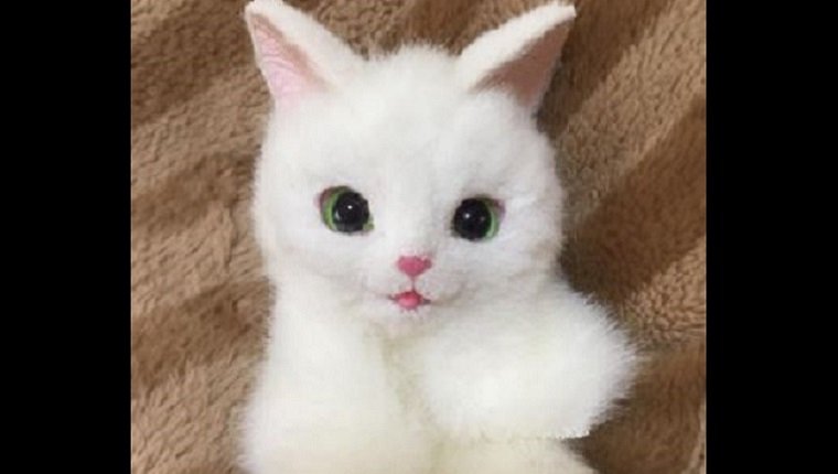 A white cat bag with a pink nose and green eyes lies on a brown blanket.
