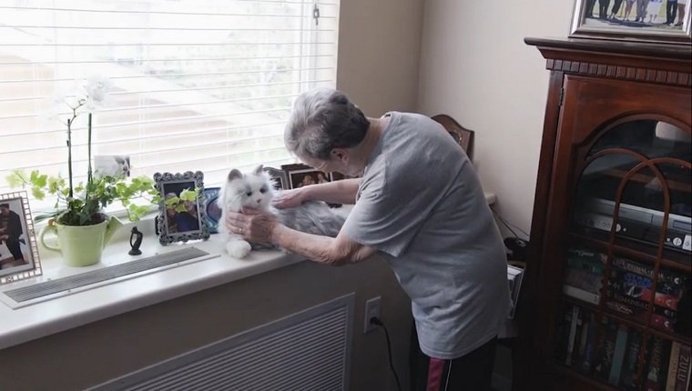 An elderly woman pets a white toy can that sits near a large window.