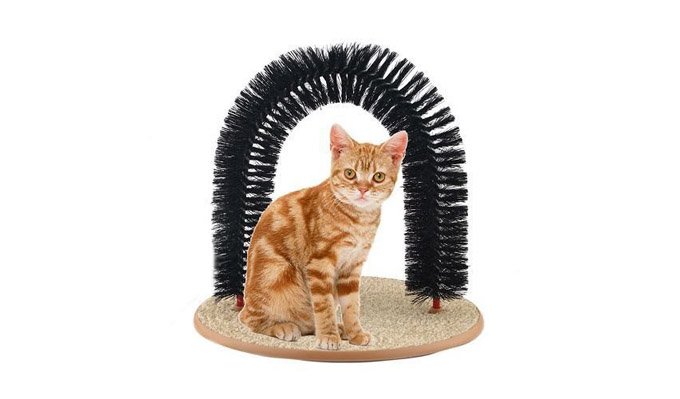 cat-grooming-scratch-toy-1
