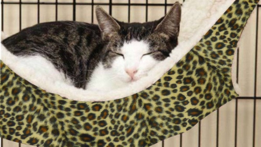 Cat Beds: What Cat Bed Is Right For Your Cat? - CatTime