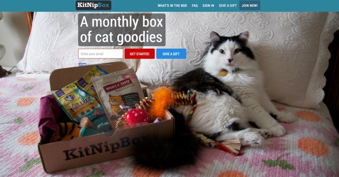 monthly-cat-box-subscription
