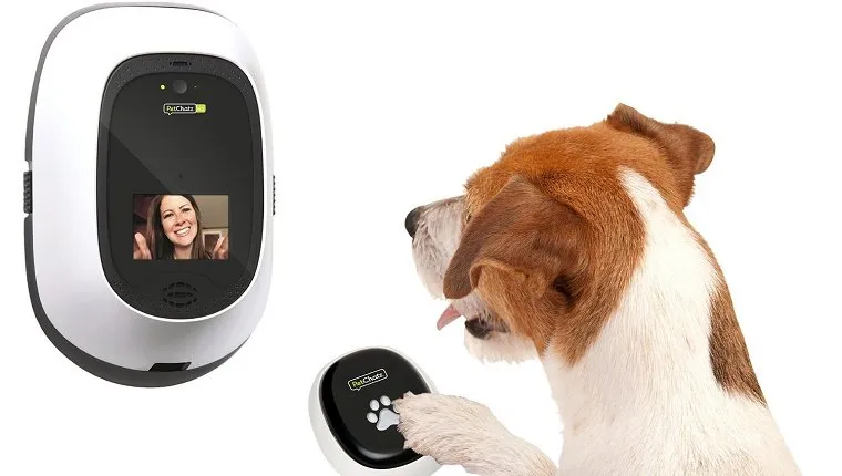 A dog presses a button on a remote for a wall-mounted video phone.