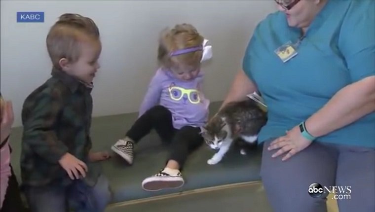 Scarlette sits next to Doc and an animal shelter worker. Her brother is on her right.