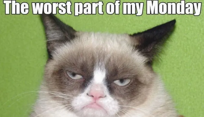 Grumpy Cat Pictures With Captions, grumpy cat, tech support
