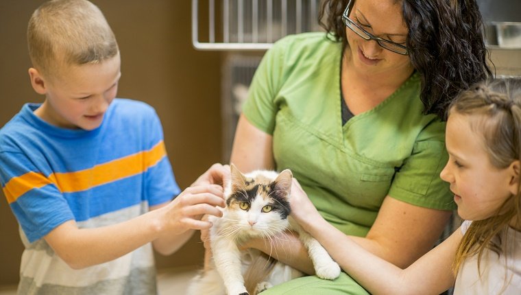 A brother and sister are adopting a cat from the animal shelter together.