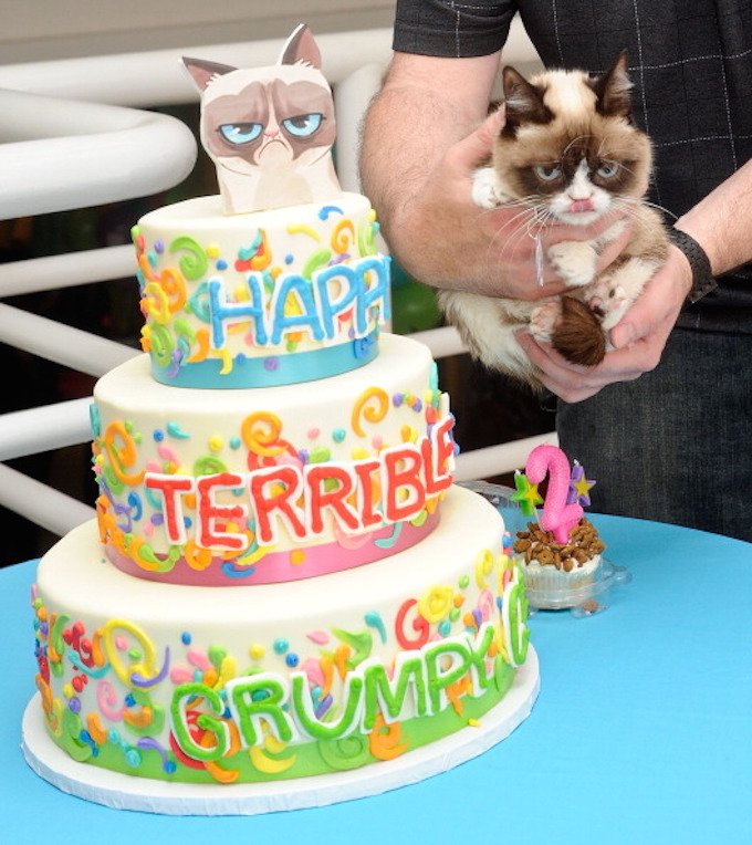 NEW YORK, NY - APRIL 29: Grumpy Cat aka Tardar Sauce attends Grumpy Cat's "Grumpiest" Birthday Bash at 404 10th Avenue on April 29, 2014 in New York City. (Photo by Daniel Zuchnik/WireImage)