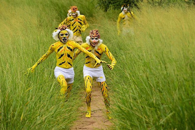Indian schoolchildren, their face and bodies painted as tigers, run at a park in Bangalore on August 1, 2015, during an awarness programme about the endangered tiger species. International Tiger Day which came into being at the Saint Petersburg Tiger Summit in 2010, is held annually on July 29, to give worldwide attention to the reservation of tigers and it is both an awareness day and a celebration of tigers. AFP PHOTO/Manjunath KIRAN (Photo credit should read MANJUNATH KIRAN/AFP/Getty Images)