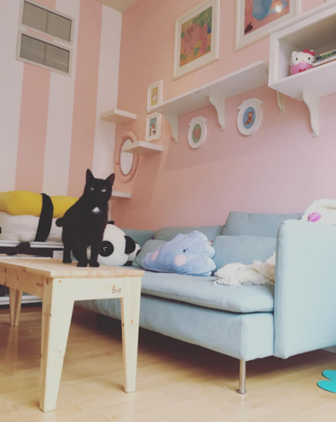 9 Reasons You'll Love The Kawaii Kitty Cafe CatTime